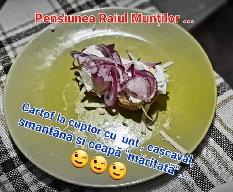 Pensiunea Raiul Muntilor Sebiş Zewnętrze zdjęcie