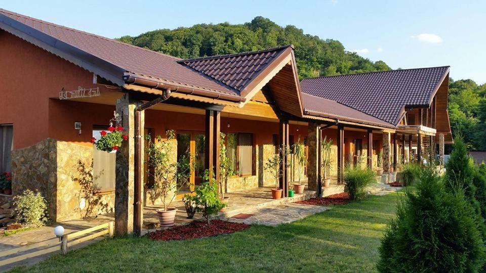 Pensiunea Raiul Muntilor Sebiş Zewnętrze zdjęcie