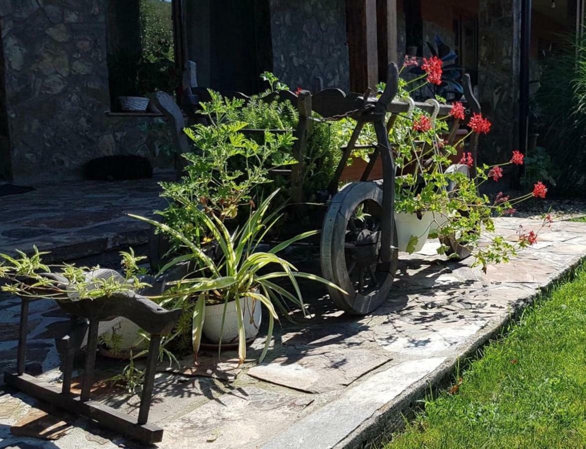 Pensiunea Raiul Muntilor Sebiş Zewnętrze zdjęcie