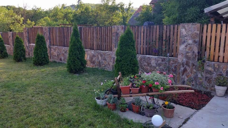 Pensiunea Raiul Muntilor Sebiş Zewnętrze zdjęcie